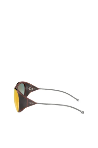 0dl3003 Iconic oval sunglasses
