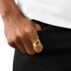 dx1569710 jewel Gold-Tone Stainless Steel Band Ring
