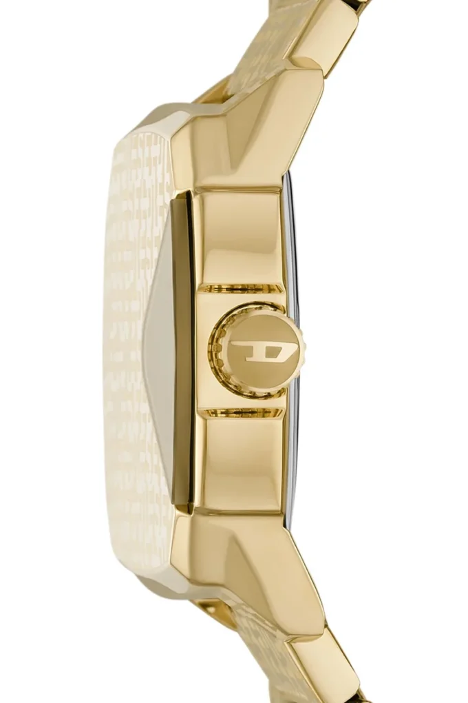 dz2178 D.V.A. Stainless Steel Watch dz2178 D.V.A. Stainless Steel Watch