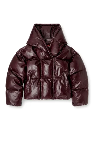 fr-w-illey Burgundy hooded puffer jacket in coated fabric